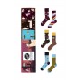 Animal Set of  Socks - Many Mornings