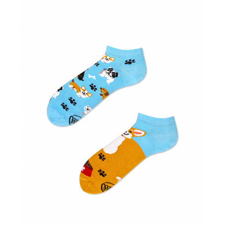 Playful Dog Sneaker Socks - Many Mornings